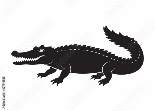 Alligator isolated on white background