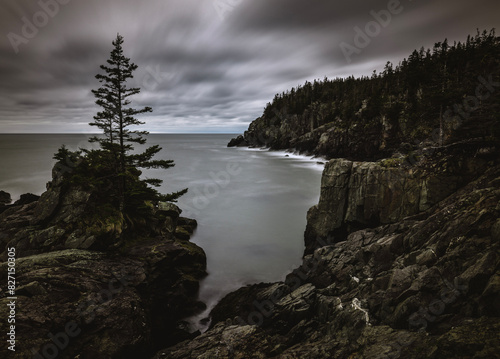 Atlantic Ocean along rocky coast of Quoddy Head State Park, Maine photo