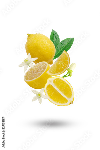 Flying group lemon with slices and flower isolated on white background.