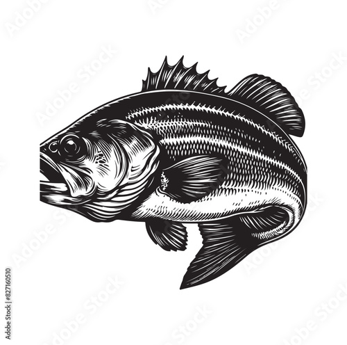 bass fish silhouette. fish illustration. jumping fish