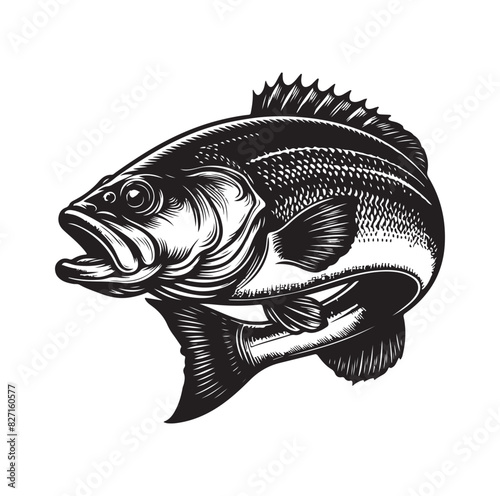 bass fish silhouette. fish illustration. jumping fish