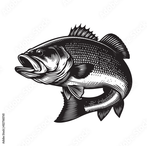 bass fish silhouette. fish illustration. jumping fish