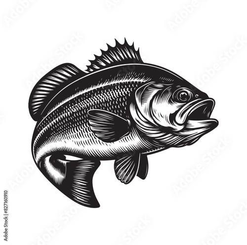 bass fish silhouette. fish illustration. jumping fish