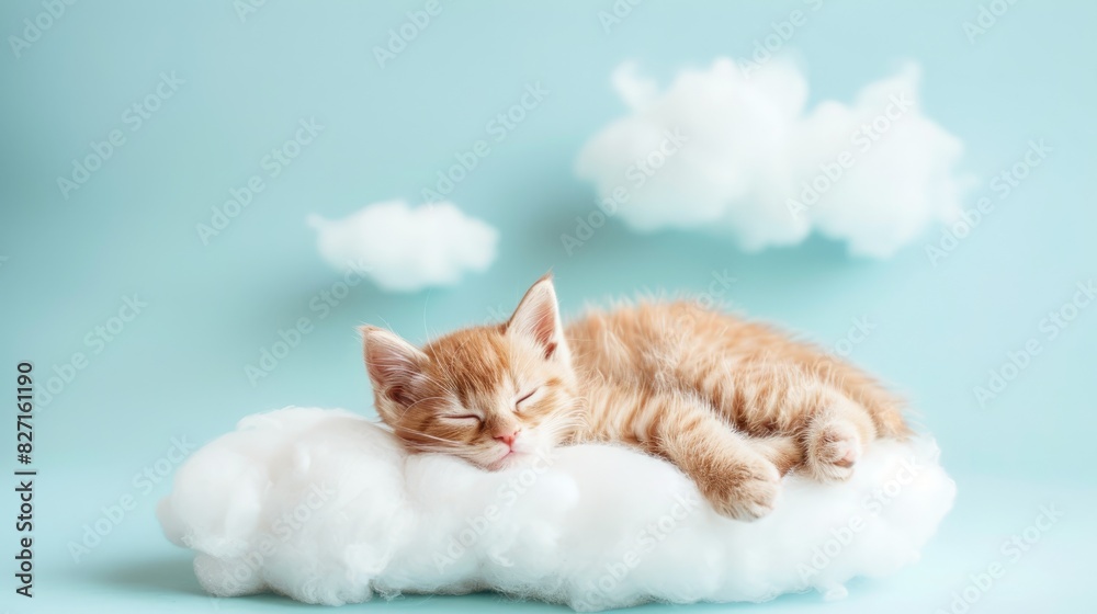 Fototapeta premium A lovely kitty is dozing on a cloud on a delicate blue background.