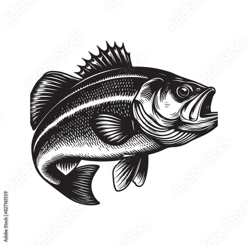 bass fish silhouette. fish illustration. jumping fish