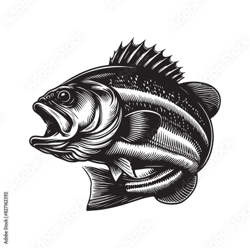 bass fish silhouette. fish illustration. jumping fish