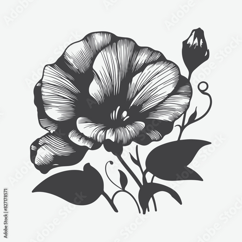 Print Enchanting Silhouette of the Sweet Pea Flower, A Botanical Masterpiece