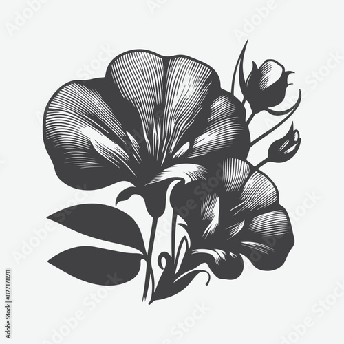 Print Enchanting Silhouette of the Sweet Pea Flower, A Botanical Masterpiece