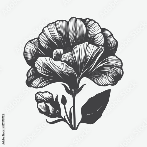 Print Enchanting Silhouette of the Sweet Pea Flower, A Botanical Masterpiece