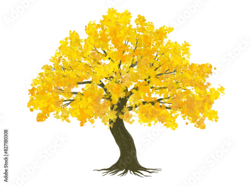 Vector side view ginkgo tree for environment scene in autumn,watercolor tree elevation for landscape concept,environment panorama scene,eco,autumn tree isolated