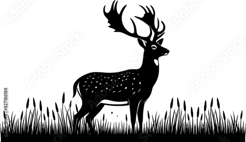 silhouette of a White-Tailed Deer
