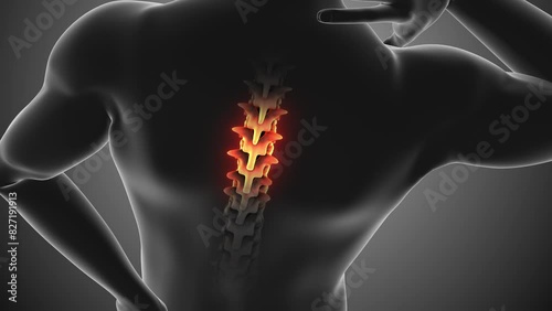 Human body showing spinal pain against a Gray background photo