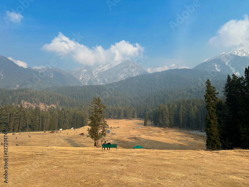 Journeying Through Snowy Peaks and Pine Serenity - Baisaran Valley, Pahalgam, Kashmir, India photo