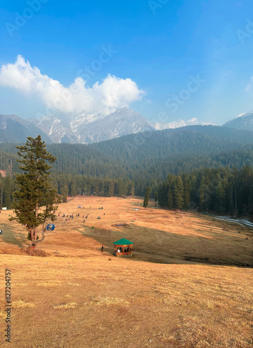 Revealing the Verdant Splendor - Baisaran Hills of Pahalgam, Kashmir, India photo