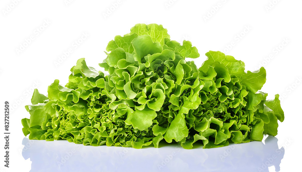 Curly Lettuce on Isolated White Background. Kıvırcık marul Curly Lettuce on Isolated White Background. Kıvırcık marul