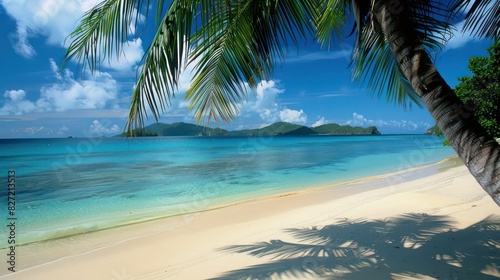 Under a bright blue sky with clouds  a sunny tropical beach features golden sand  turquoise waters  and lush palm trees