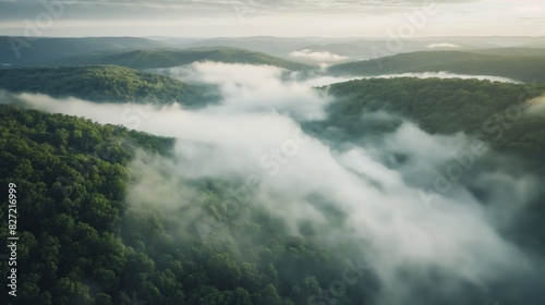 Tranquil misty mountain aerial view in the beautiful morning mist with lush forest. Hills. And greenery. Showcasing the natural beauty of an undisturbed wilderness landscape