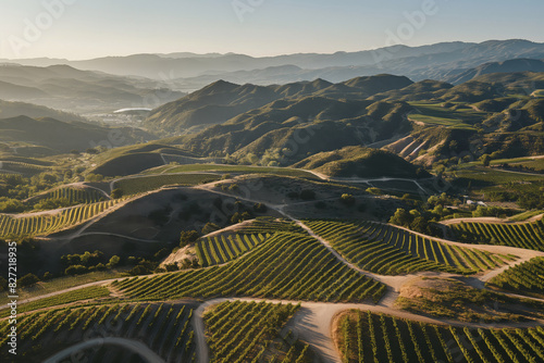 Aerial view of rolling vineyard hills at sunset. Showcasing the beautiful agriculture and wine country landscape with nature cultivation. Scenic vine rows