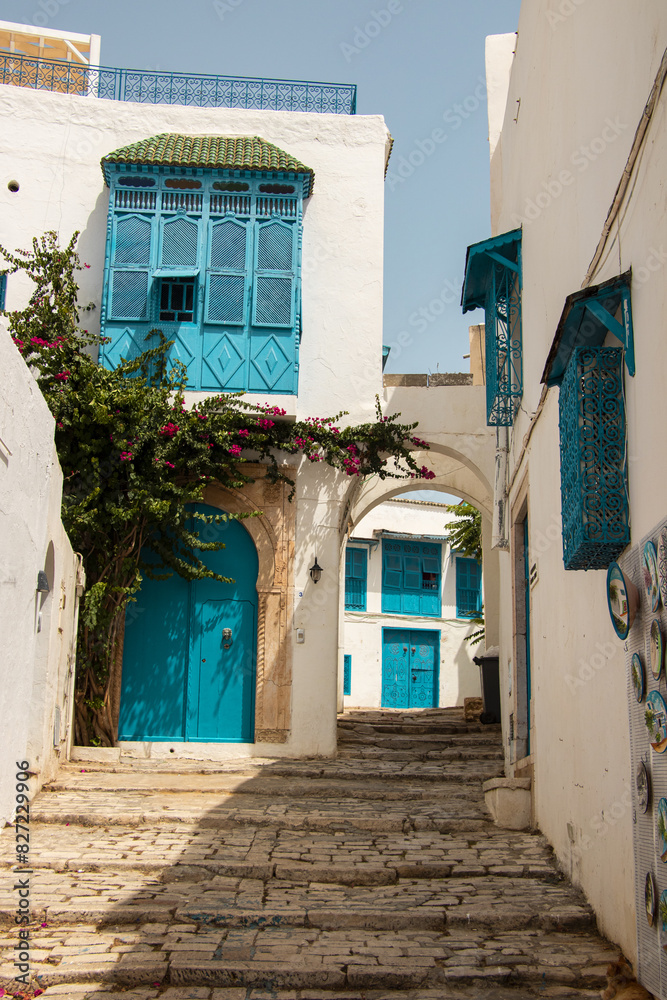 Fototapeta premium a historic Tunisian city widely visited by tourists
