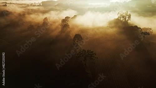 Aerial view of the valley with fog. Area near the town of Urupema on Brazilian highlands in the state of Santa Catarina in Brazil photo