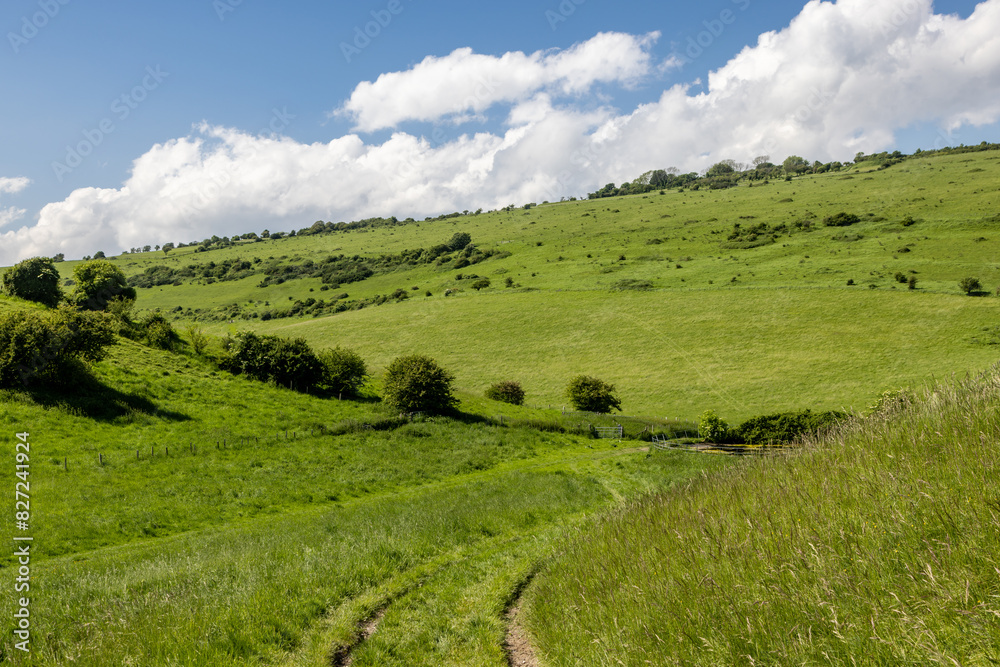 A grass pathway on Mount Caburn in rural Sussex, on a sunny spring day