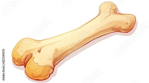 2d illustration of a cartoon bone icon showcasing a canine bone on a white isolated background emphasizing the concept of a human bone sign