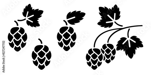 Hop icon, black silhouette isolated on white background. Branch of hop with cones and leaves. Vector clipart, minimalist stencil sign for brewery and pub logo or Octoberfest design.