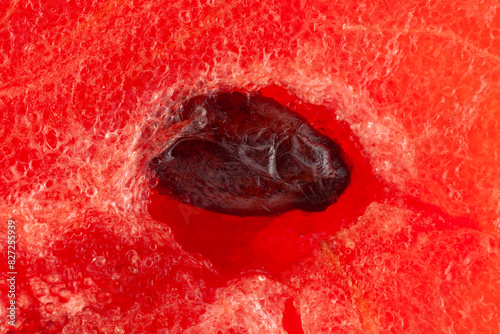 Extreme (macro ) close-up of organic watermelon (Citrullus Lanatus), showing water glands, natural fiber, and xylem as wallpaper background. photo