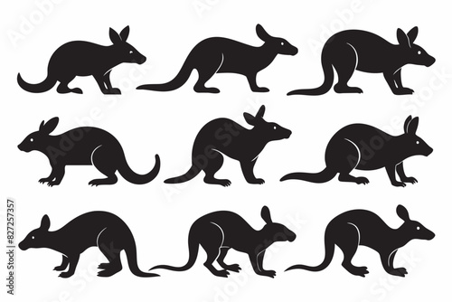  kangaroo silhouettes on a white background