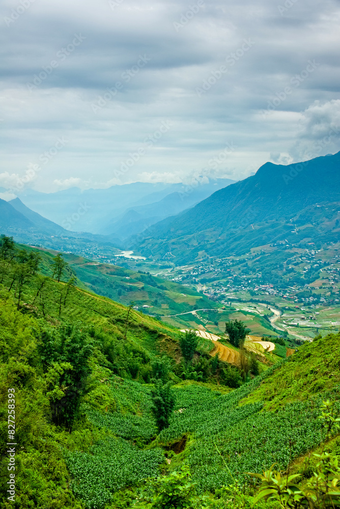 Obraz premium SAPA Rice Terraces: Jewels of Vietnam