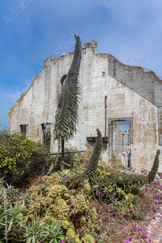 Photography Scenic view of Alcatraz Prison in San Francisco, California, USA