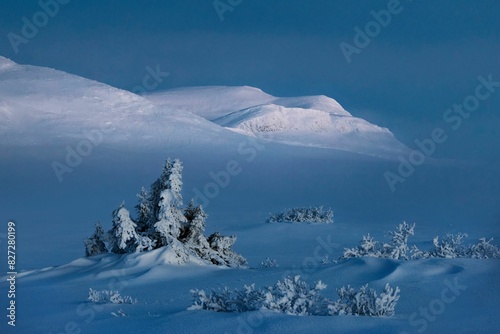 Scenic tranquil winter morning at Venabygd mountain, Norway photo