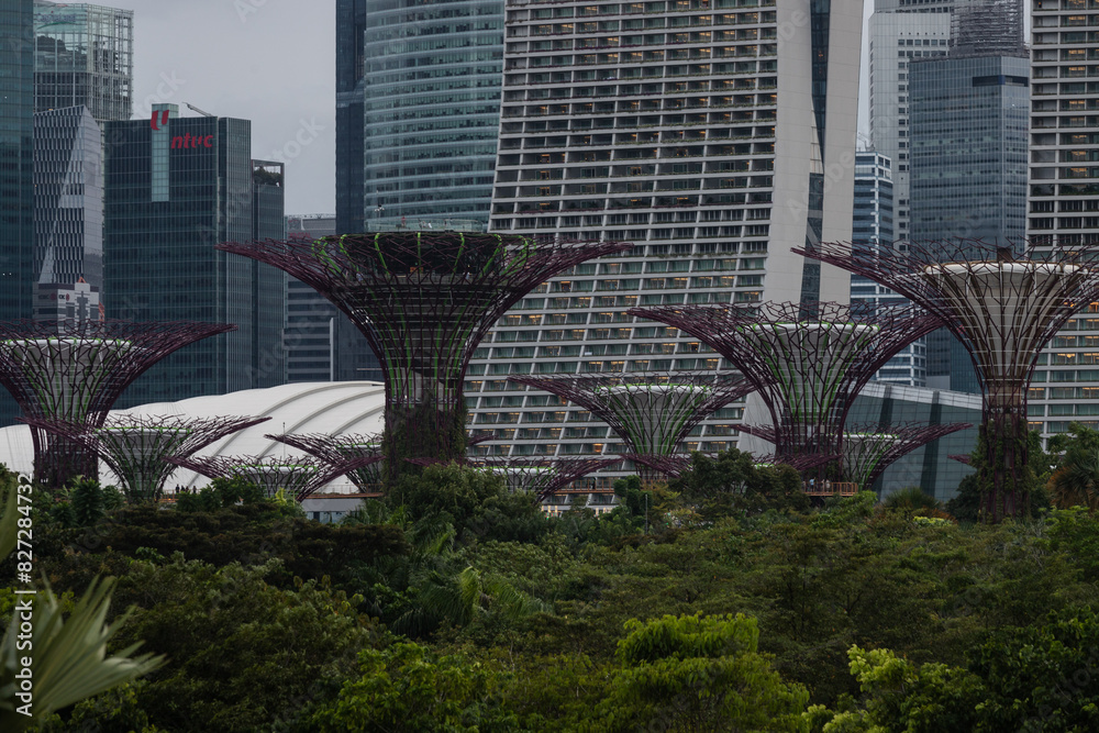 Fototapeta premium In a row beside buildings and trees: Singapore