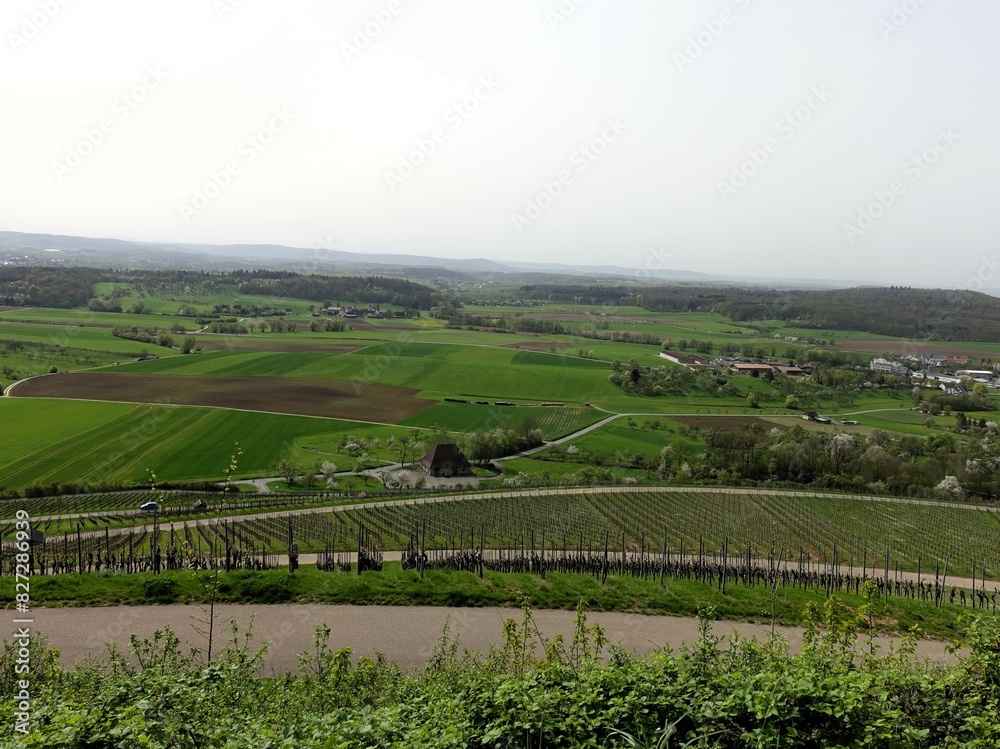 Fototapeta premium a view from the top of the hill looking over the countryside