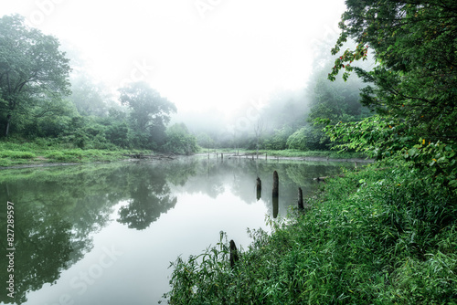 Misty morning on the lake © Wirestock