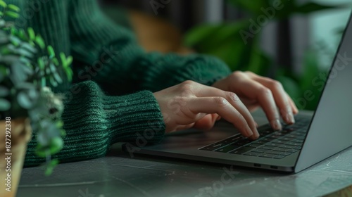 The hands typing on laptop photo