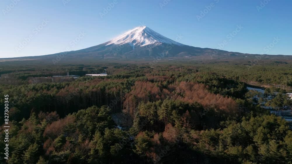 Drone shot of the Fujikawaguchiko resort town with the scenic Mount Fuji in the background, Japan Drone shot of the Fujikawaguchiko resort town with the scenic Mount Fuji in the background, Japan