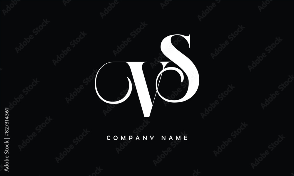 Fototapeta premium VS, SV, V, S Abstract Letters Logo Monogram