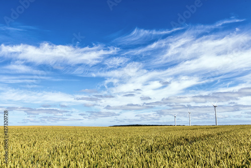 Wind power plant in nature in the north of Germany  close to the city of Rostock