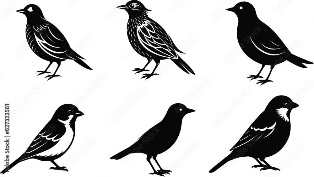set of silhouettes of birds Vector illustration. set of silhouettes of birds Vector illustration.