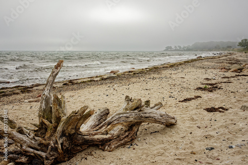 Fototapeta Naklejka Na Ścianę i Meble -  Scenic beach at Staberhuk cliffs, Fehmarn Island, Baltic Sea, Germany.