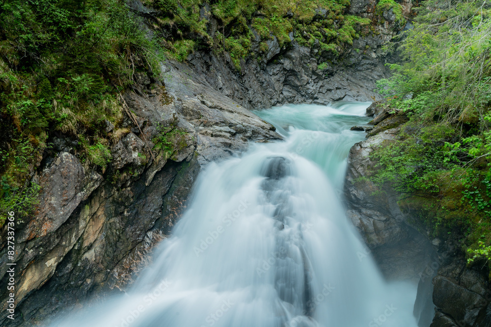 Fototapeta premium waterfall in the forest