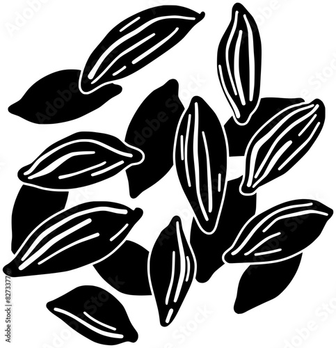 cardamom illustration food silhouette spice logo caraway icon kitchen outline ingredient natural rosemary anise cumin nutmeg ginger basil seed shape dill engraved garlic for vector graphic background