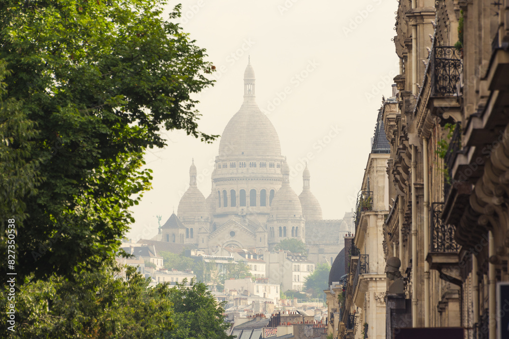 Obraz premium Of the Sacre coeur de Montmartre, Paris, France