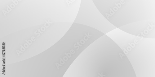 Abstract white and gray curve modern background. texture white pattern. vector illustration	