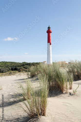 Phare de la Coubre photo