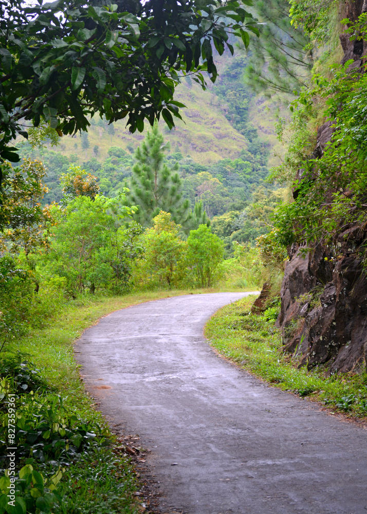 Rural road through natural setting with a mountain in a background Rural road through natural setting with a mountain in a background