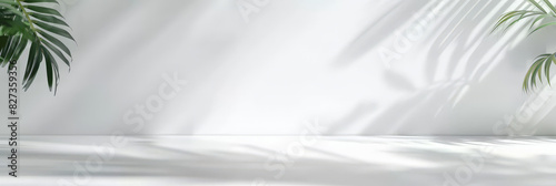 white empty room with shadow plant on white wall, empty white marble stone counter table top with shadow , white stucco cement luxury wall for product display presentation