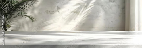 white empty room with shadow plant on white wall, empty white marble stone counter table top with shadow , white stucco cement luxury wall for product display presentation