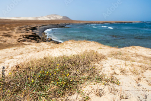 beach and ocean, boa vista, cape verde